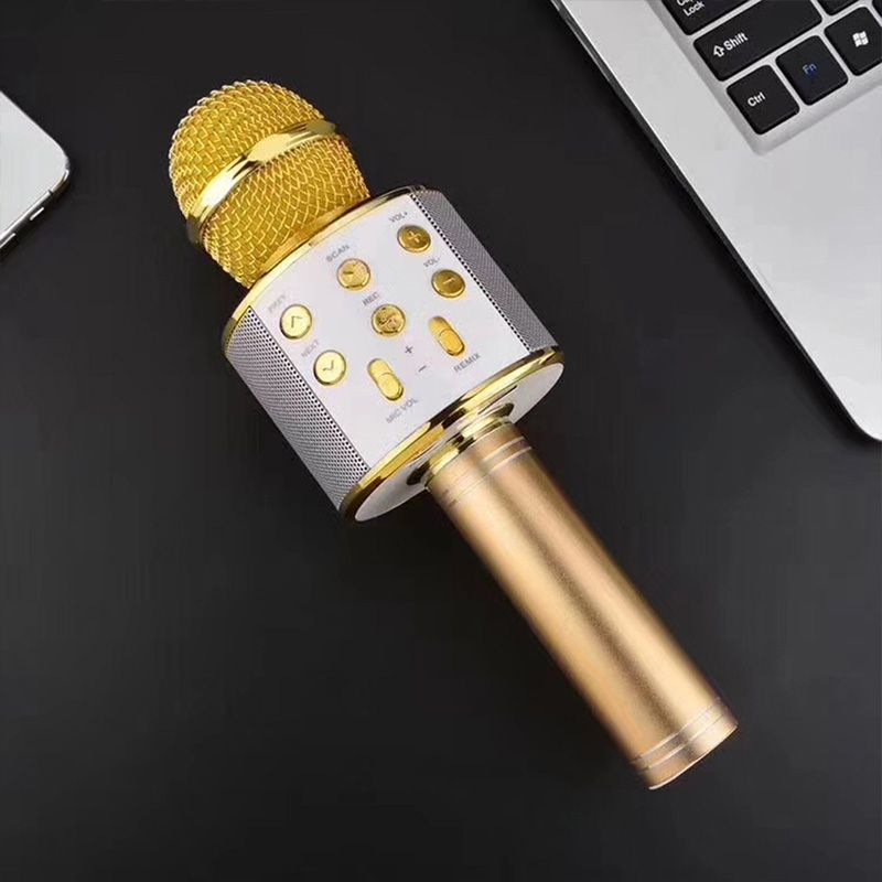 Wireless Karaoke Microphone with Bluetooth