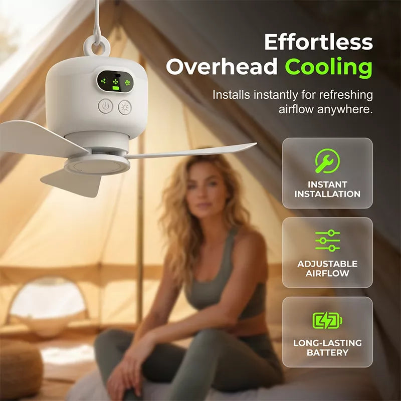Rechargeable Ceiling Fan with LED