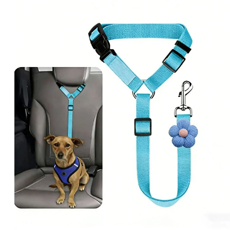 Dog Safety Harness & Leash 2-in-1