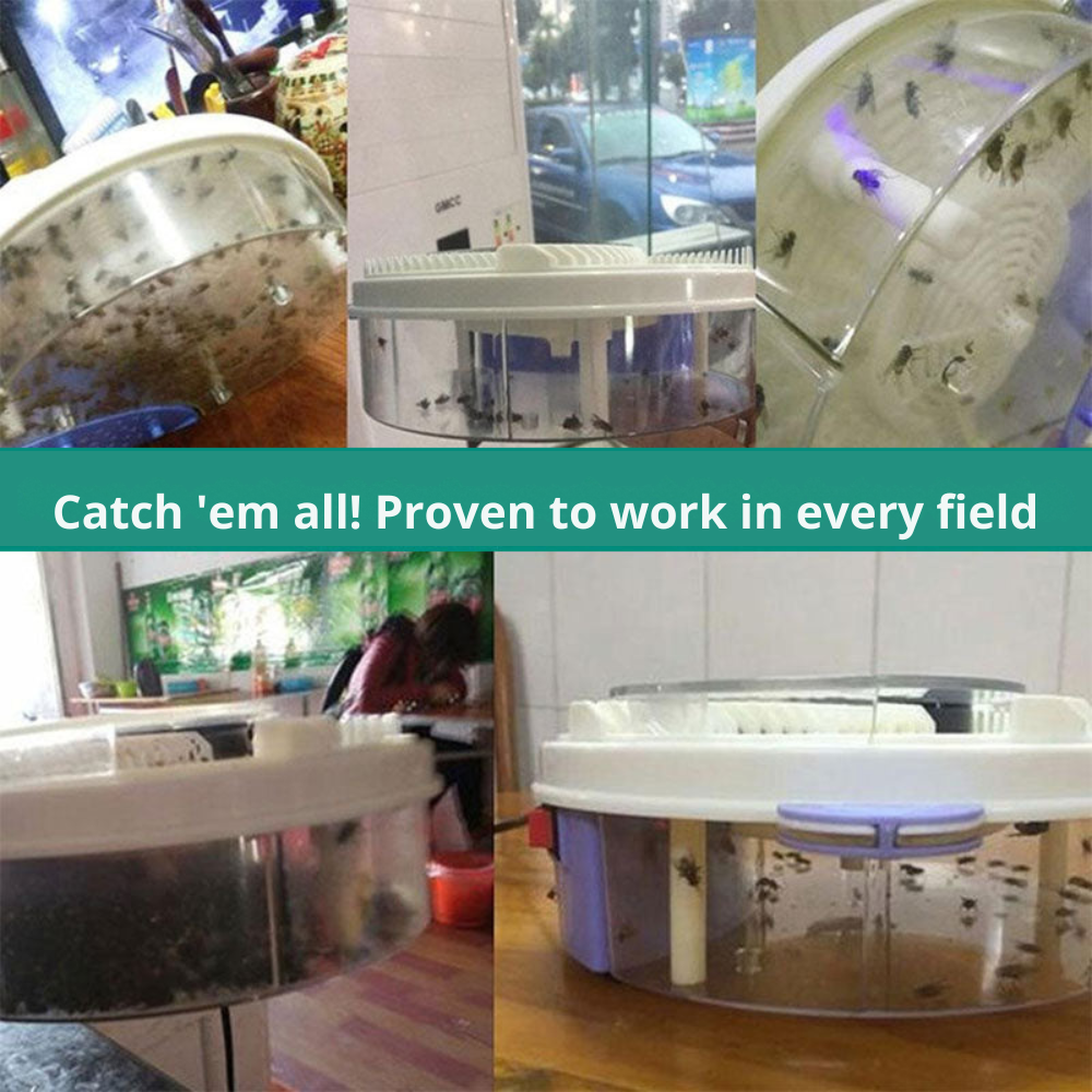 Fly trap without chemicals – SilentCatch