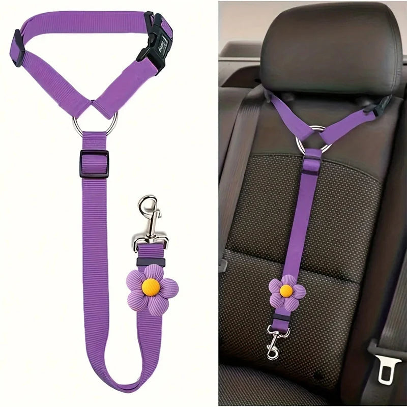 Dog Safety Harness & Leash 2-in-1