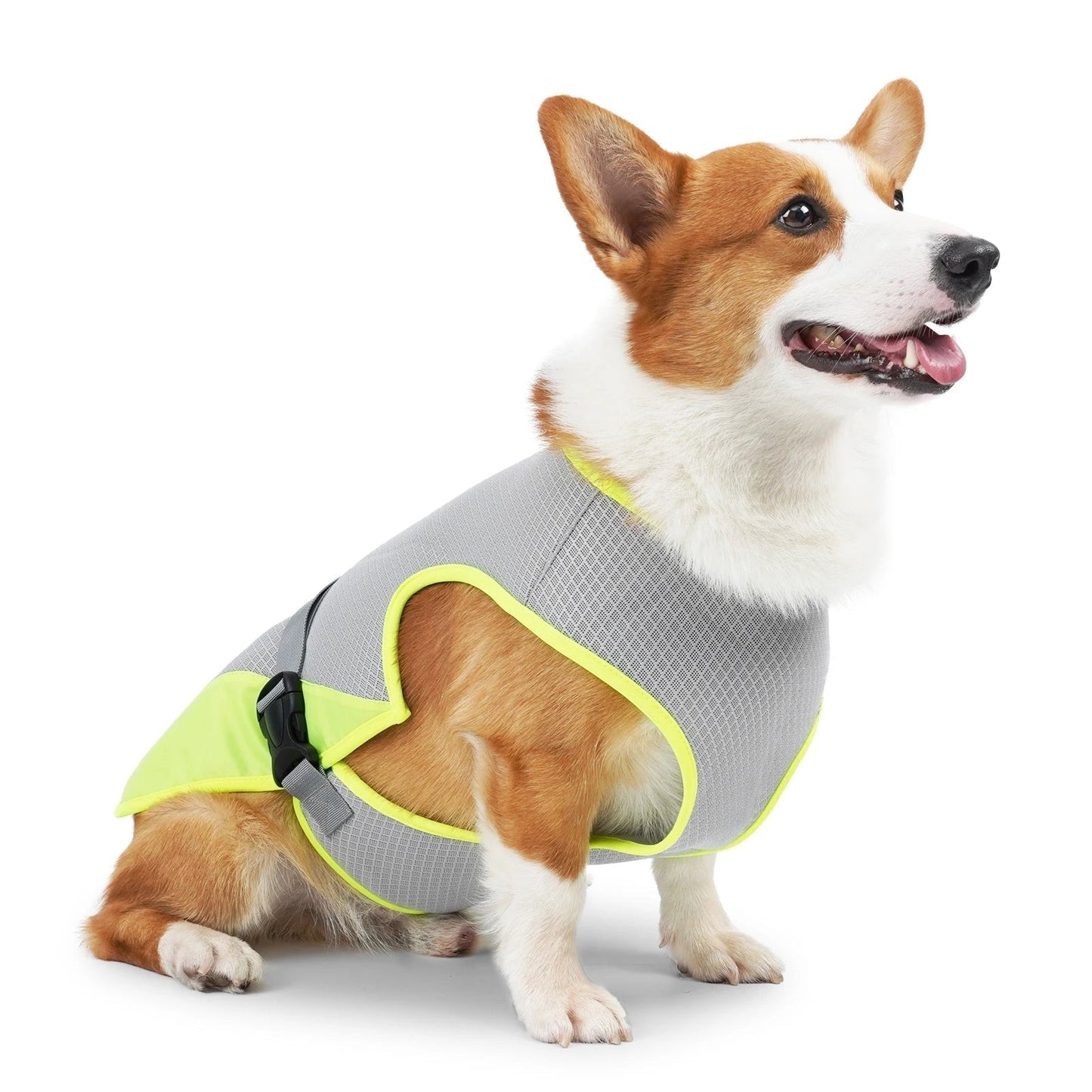 VeciGimax Dog Vest with Breathable Mesh