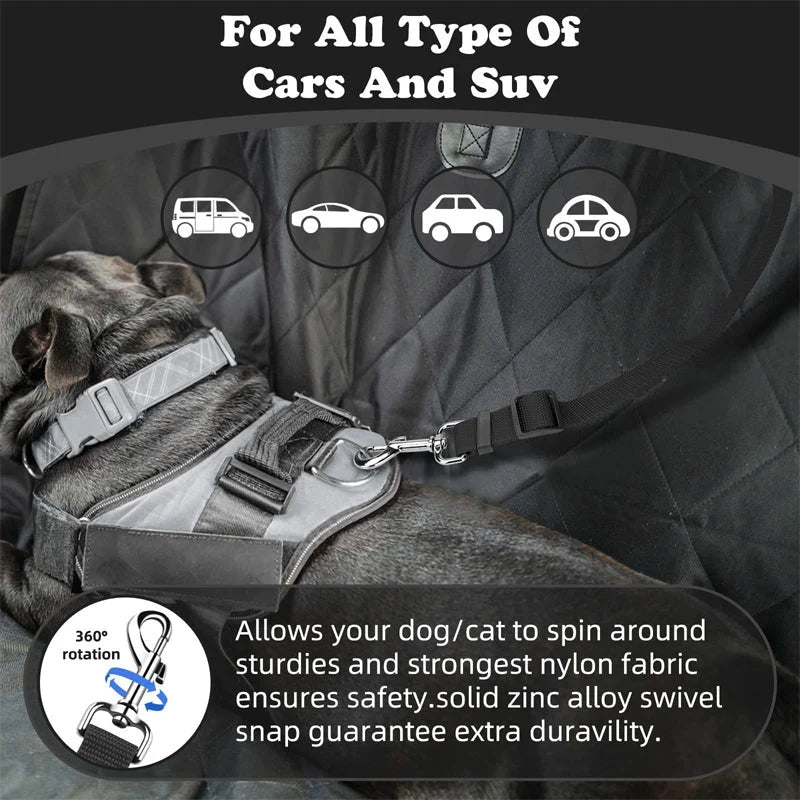 Dog Safety Harness & Leash 2-in-1