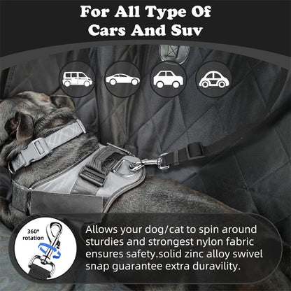 Dog Safety Harness & Leash 2-in-1