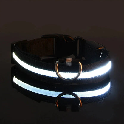 LED Dog Collar Glowing for Night Walks