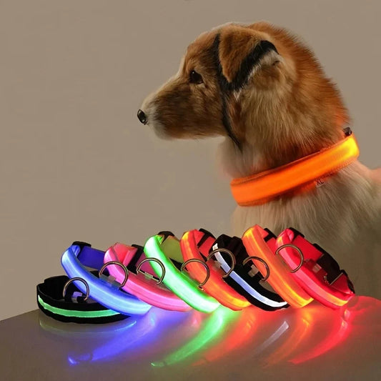 LED Dog Collar Glowing for Night Walks