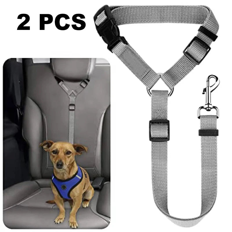 Dog Safety Harness & Leash 2-in-1