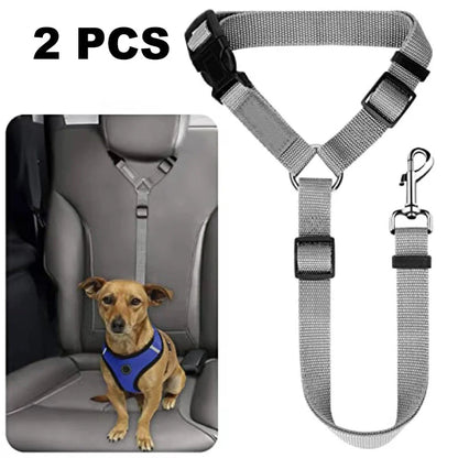 Dog Safety Harness & Leash 2-in-1