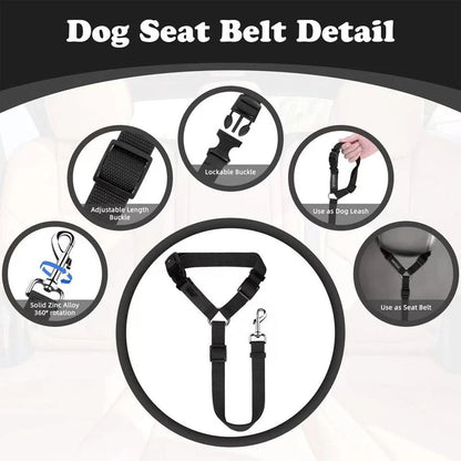 Dog Safety Harness & Leash 2-in-1