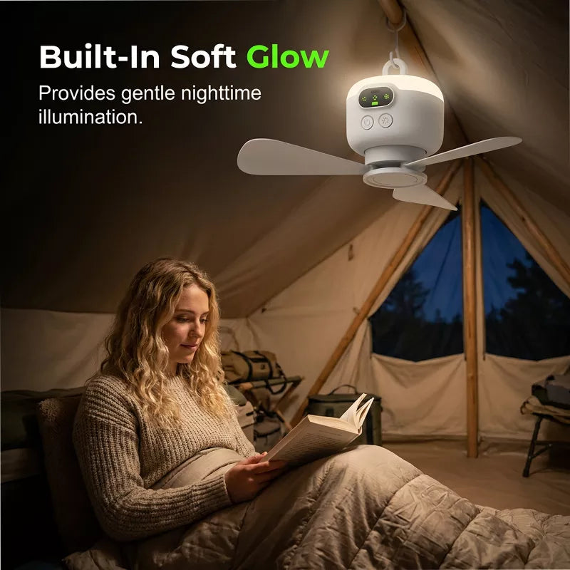 Rechargeable Ceiling Fan with LED