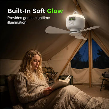 Rechargeable Ceiling Fan with LED