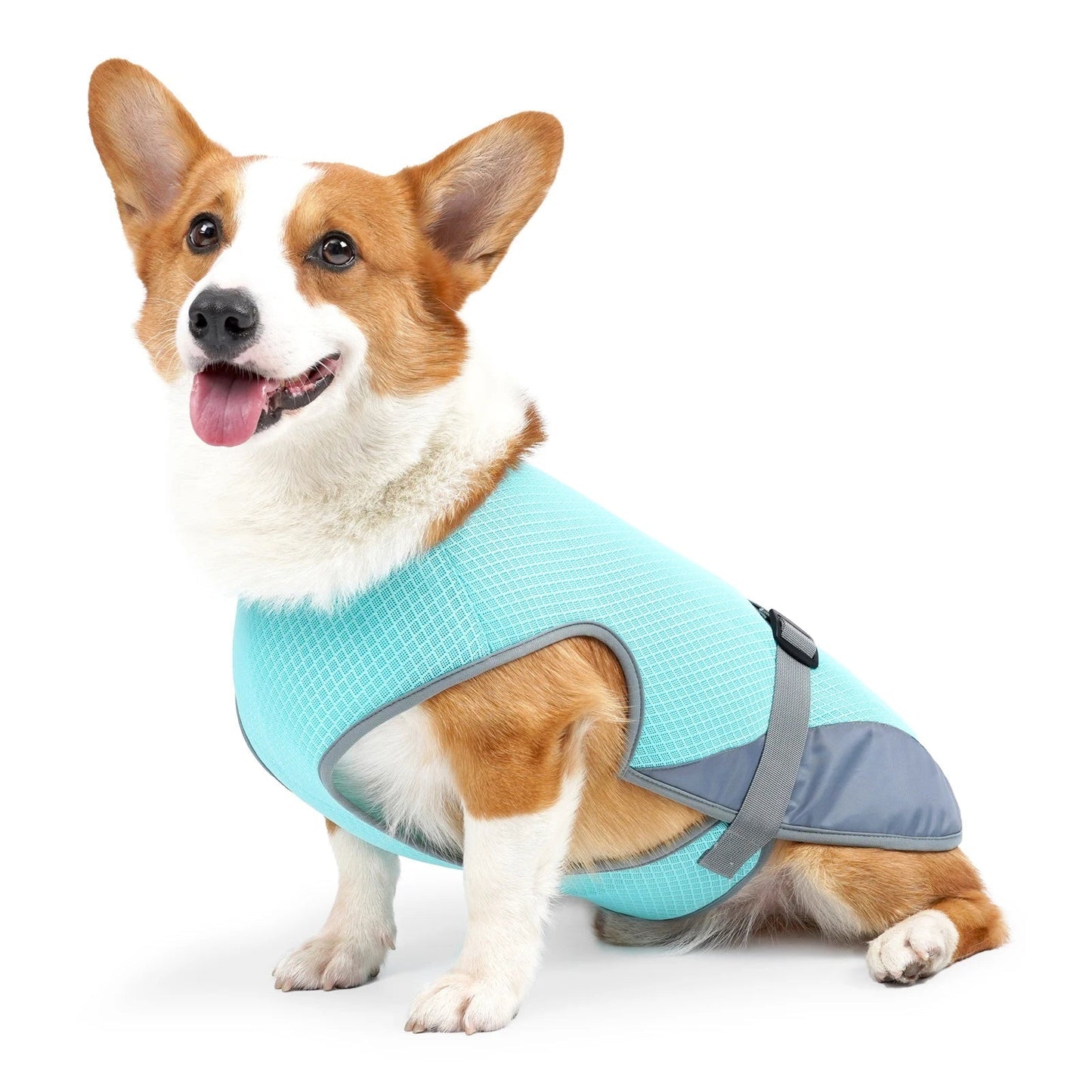 VeciGimax Dog Vest with Breathable Mesh