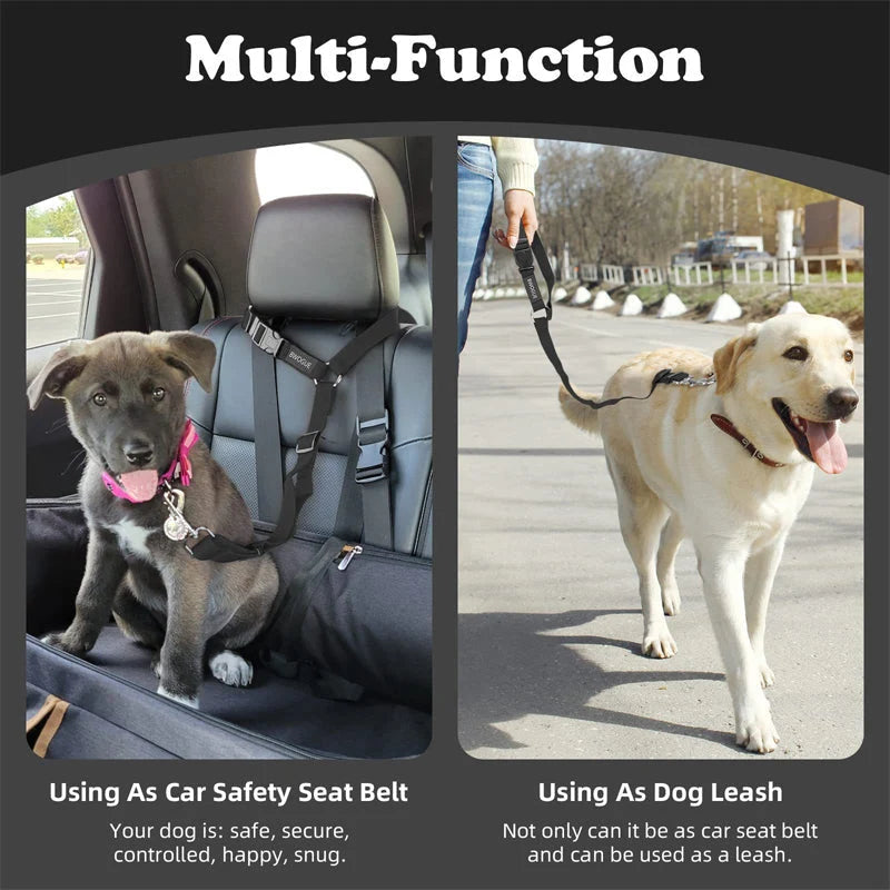 Dog Safety Harness & Leash 2-in-1