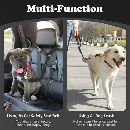 Dog Safety Harness & Leash 2-in-1