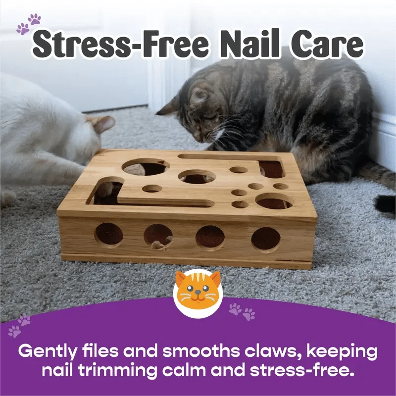Cat Scratching Puzzle Activity Box