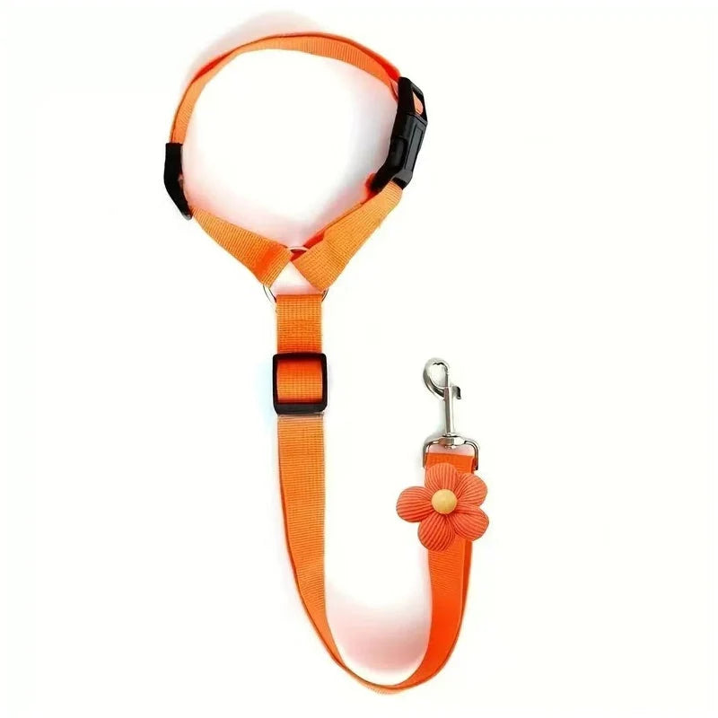 Dog Safety Harness & Leash 2-in-1