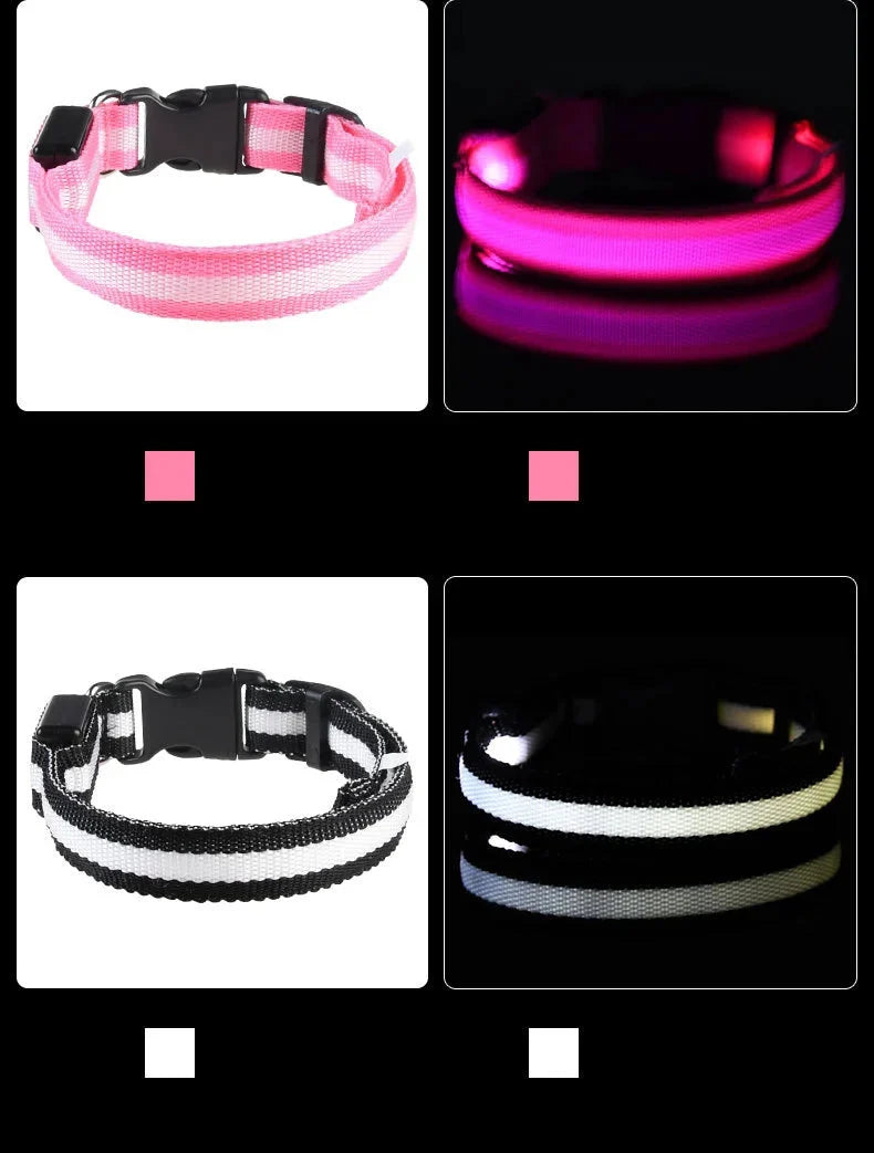 LED Dog Collar Glowing for Night Walks