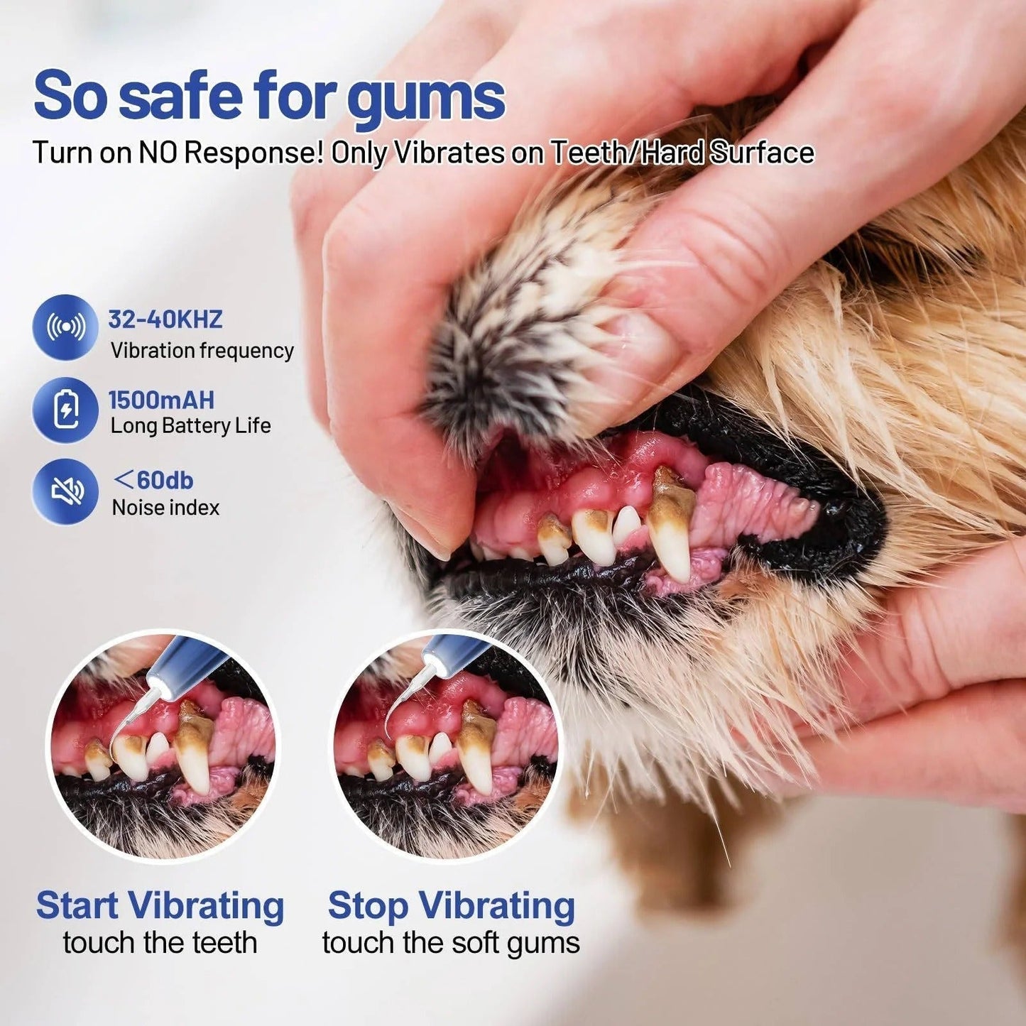 Ultrasound Device for Dog Grooming