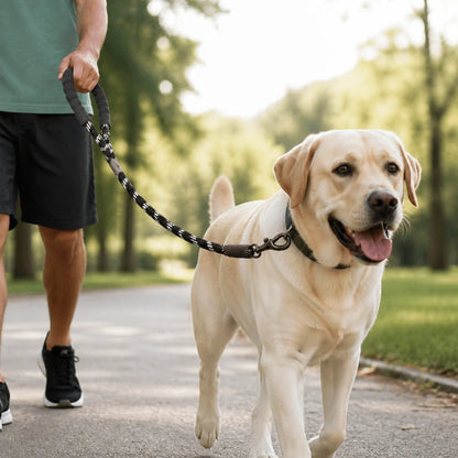 Reinforced Nylon Handle with Padding & Reflective Edge Dog Leash (for Strong Dogs)