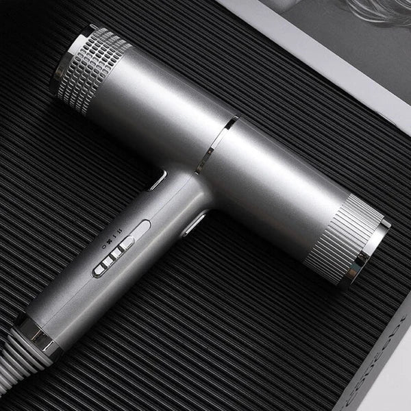 Professional Ionic Hair Dryer