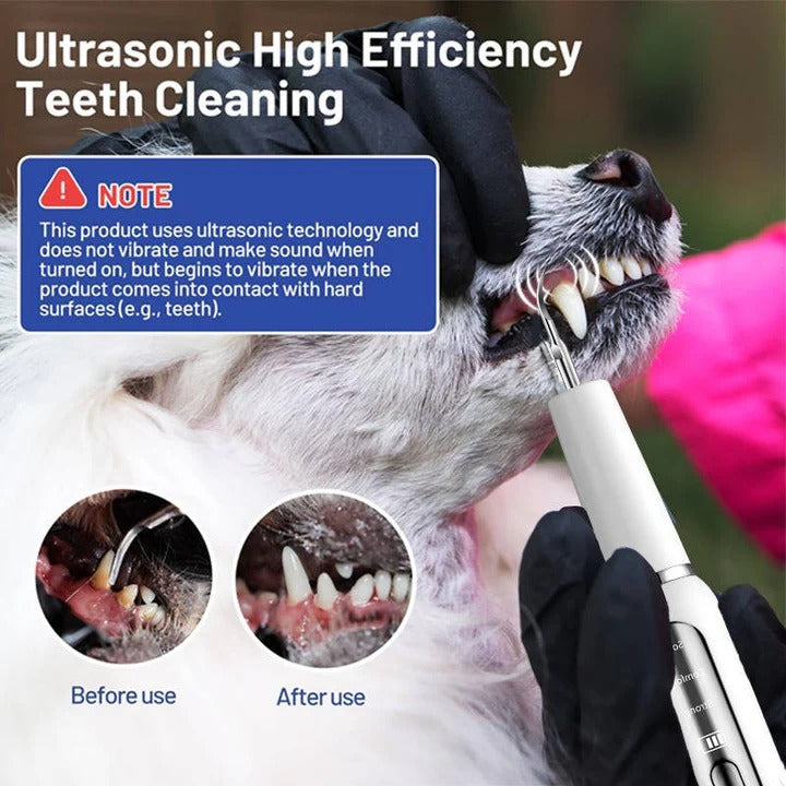 Ultrasound Device for Dog Grooming