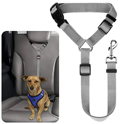Dog Safety Harness & Leash 2-in-1