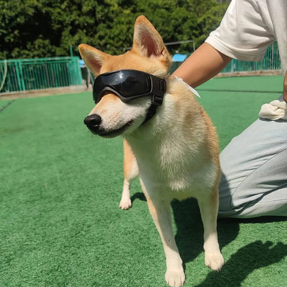 Dog Protective Glasses with UV, Wind & Dust Protection