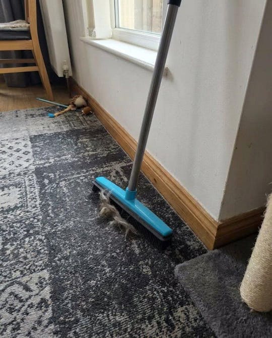 Pet Hair Remover Broom with Telescopic Handle