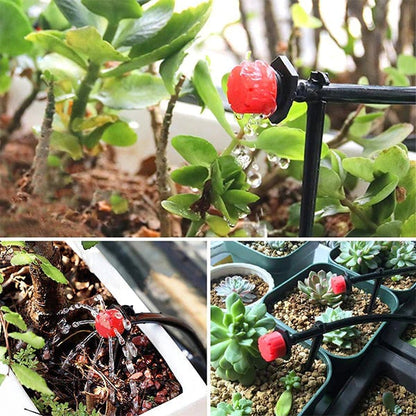 HydroMist™ — Perfect Plant Moisture for a Garden Bursting with Life