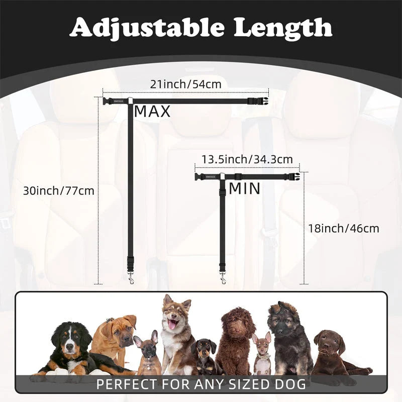 Dog Safety Harness & Leash 2-in-1