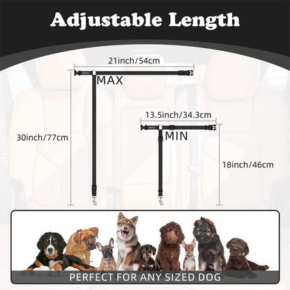 Dog Safety Harness & Leash 2-in-1