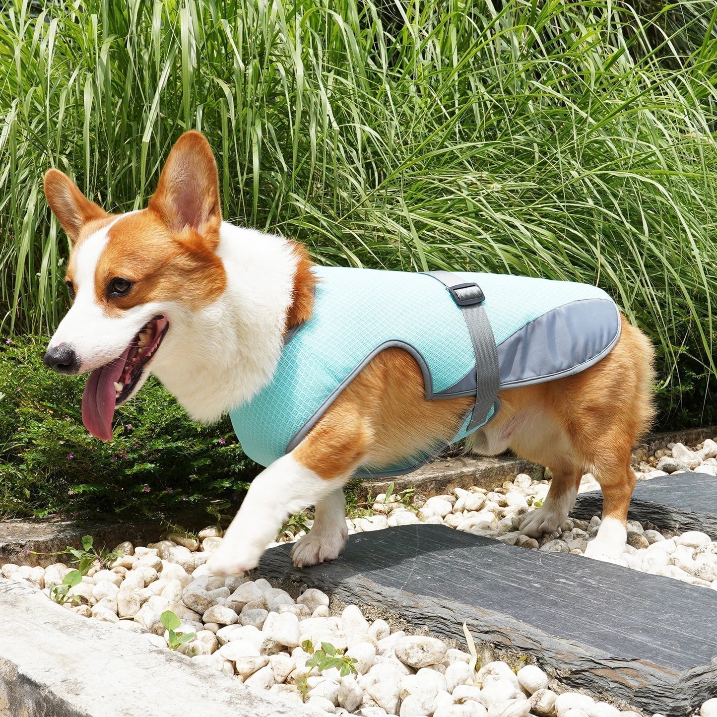 VeciGimax Dog Vest with Breathable Mesh