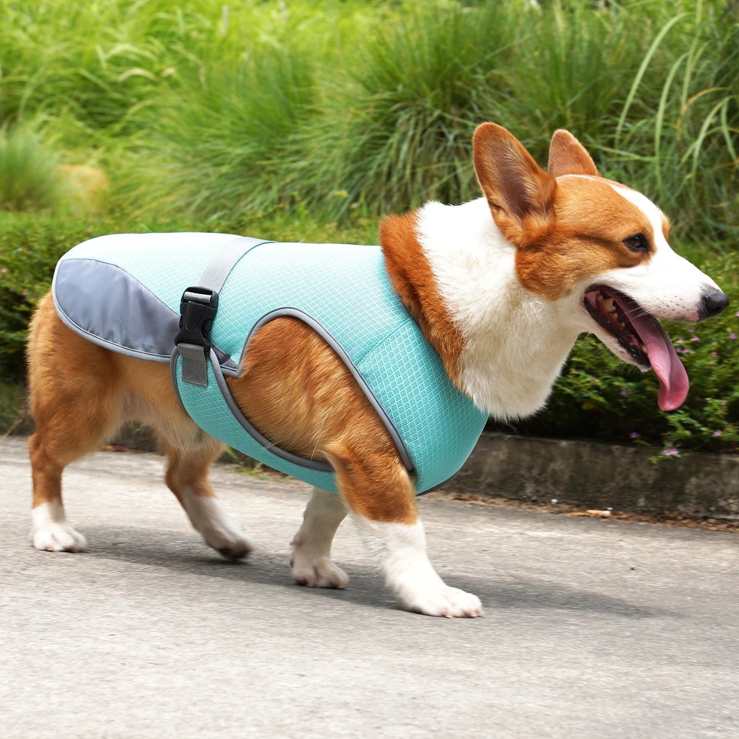 VeciGimax Dog Vest with Breathable Mesh