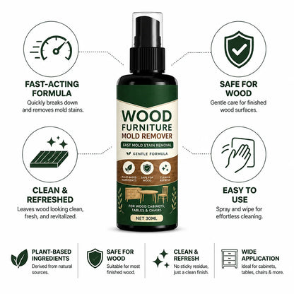 Fast-acting, wood-safe mold removal spray