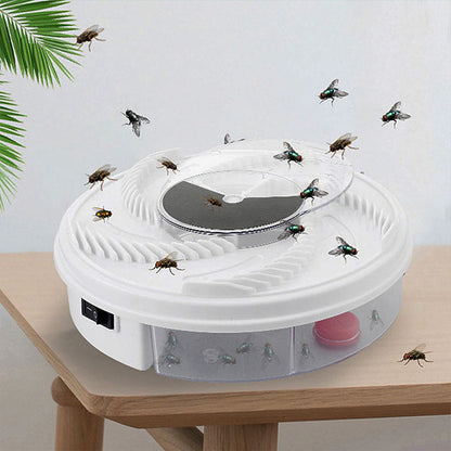 Fly trap without chemicals – SilentCatch