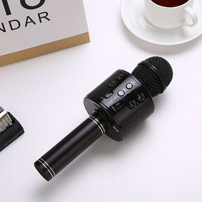 Wireless Karaoke Microphone with Bluetooth