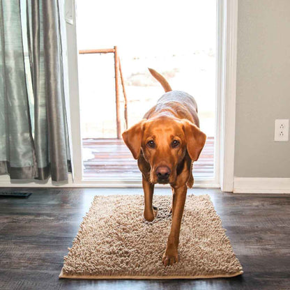 1+1 FREE | PawGuard Mat – No More Dirty Dog Paws in the House