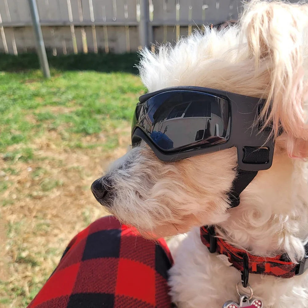 Dog Protective Glasses with UV, Wind & Dust Protection