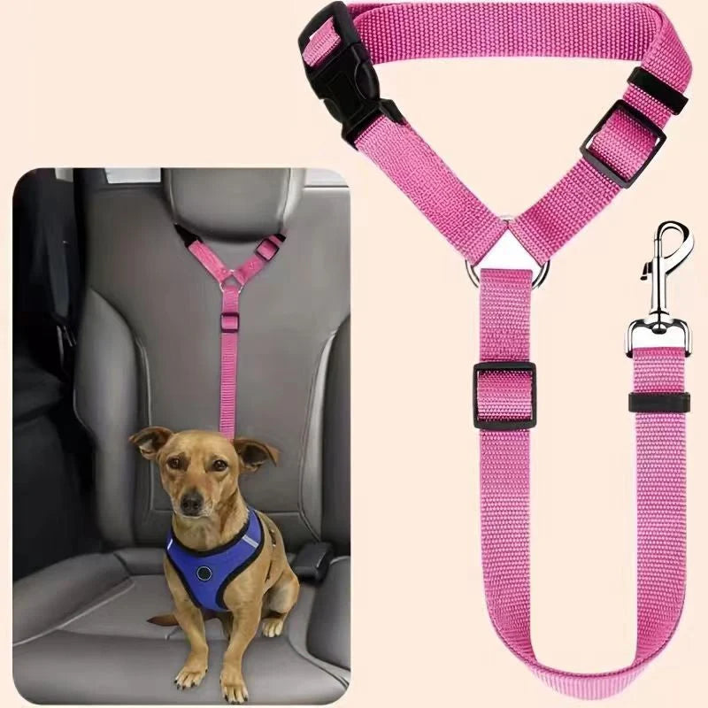 Dog Safety Harness & Leash 2-in-1