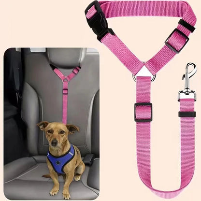 Dog Safety Harness & Leash 2-in-1