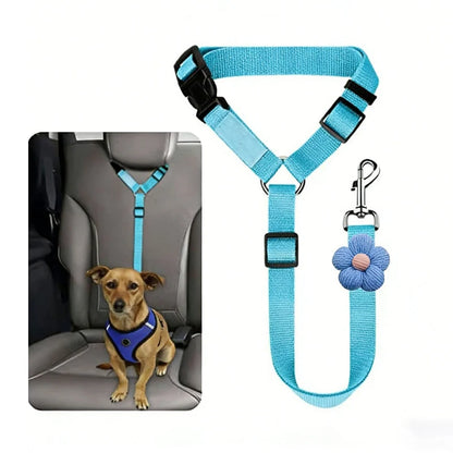 Dog Safety Harness & Leash 2-in-1