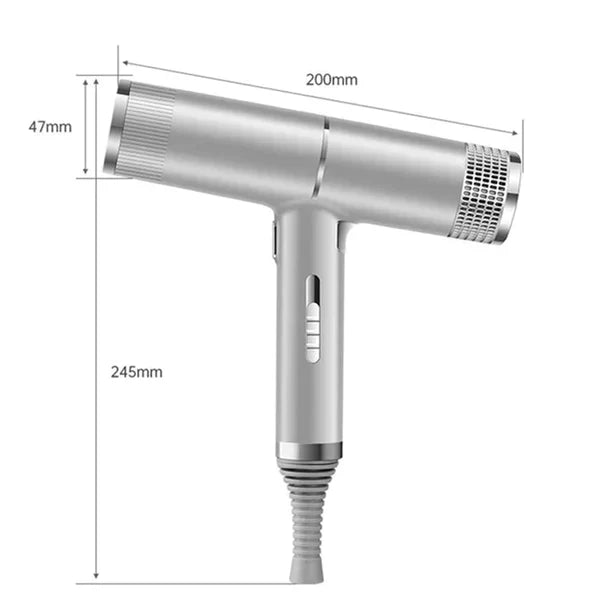 Professional Ionic Hair Dryer