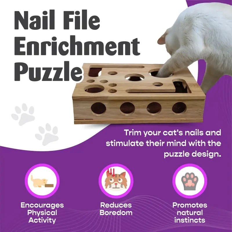 Cat Scratching Puzzle Activity Box