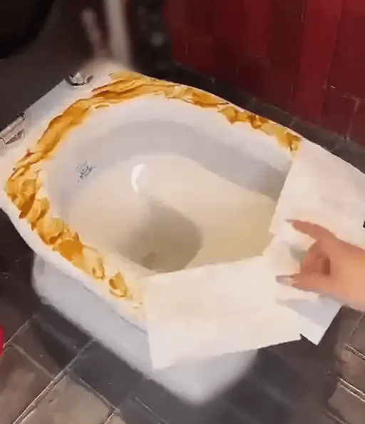 Toilet Seat Cover Waterproof & Non-Slip