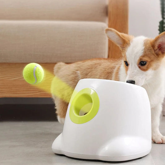 Automatic Ball Launcher for Small Dogs