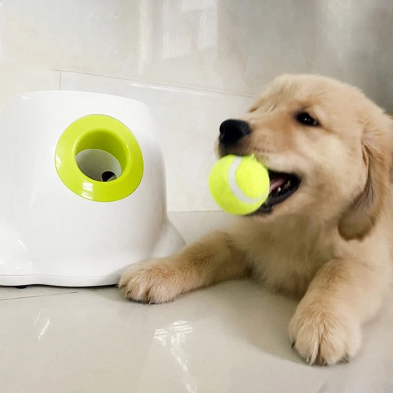 Automatic Ball Launcher for Small Dogs