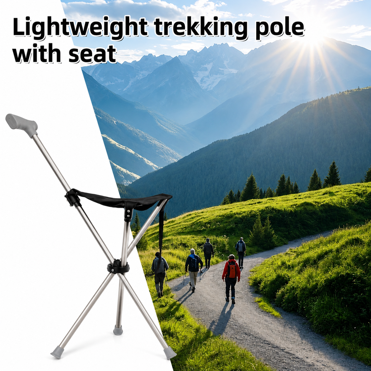 2-in-1 Walking Stick with Seat