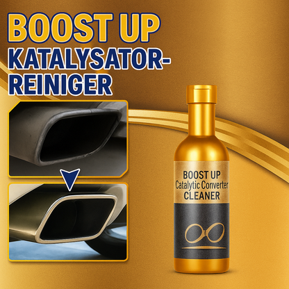 EcoClean Drive Catalytic Converter & Fuel System Cleaner