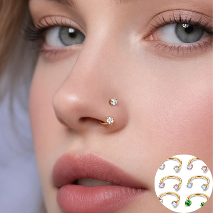 SilkCurve Titanium Horseshoe Nose Ring 18G