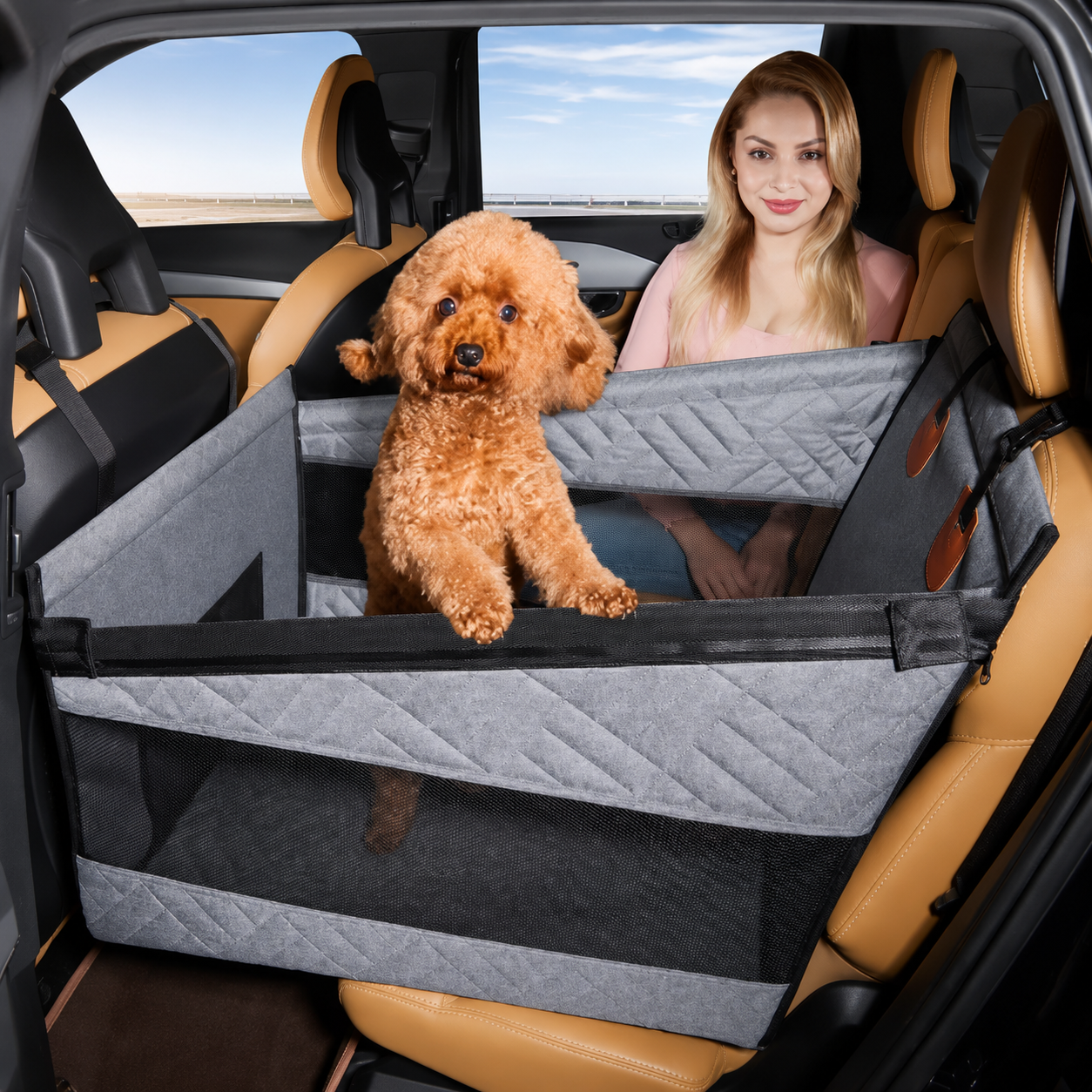Dog Car Seat with Hard Base